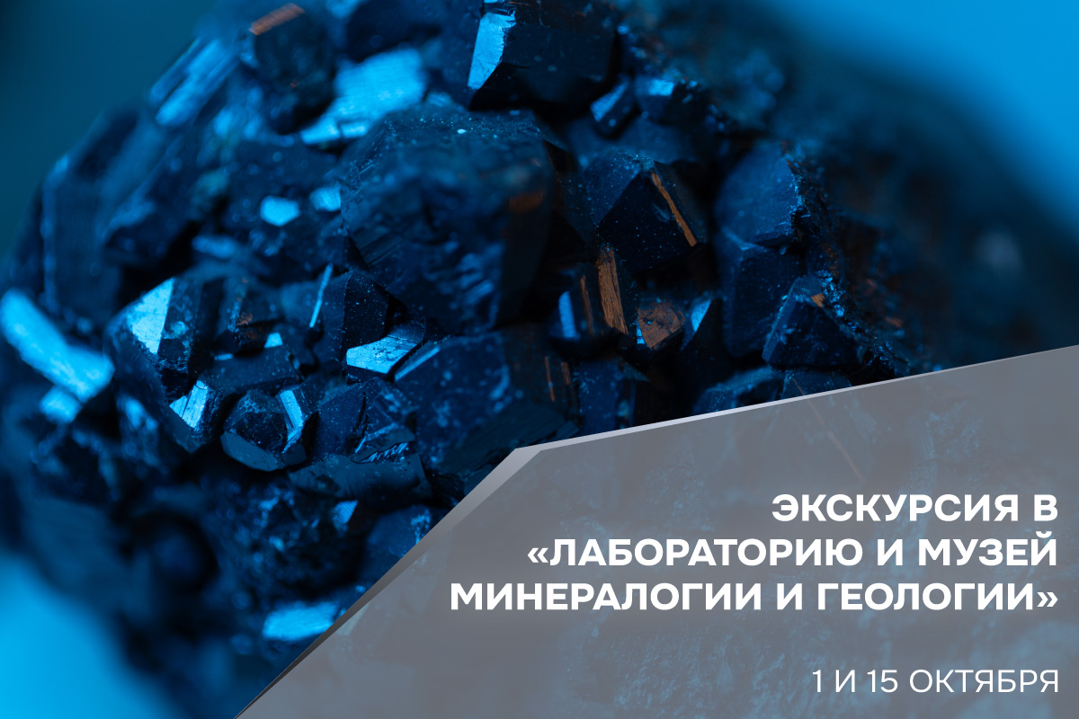 Экскурсия в «Лабораторию и музей минералогии и геологии»