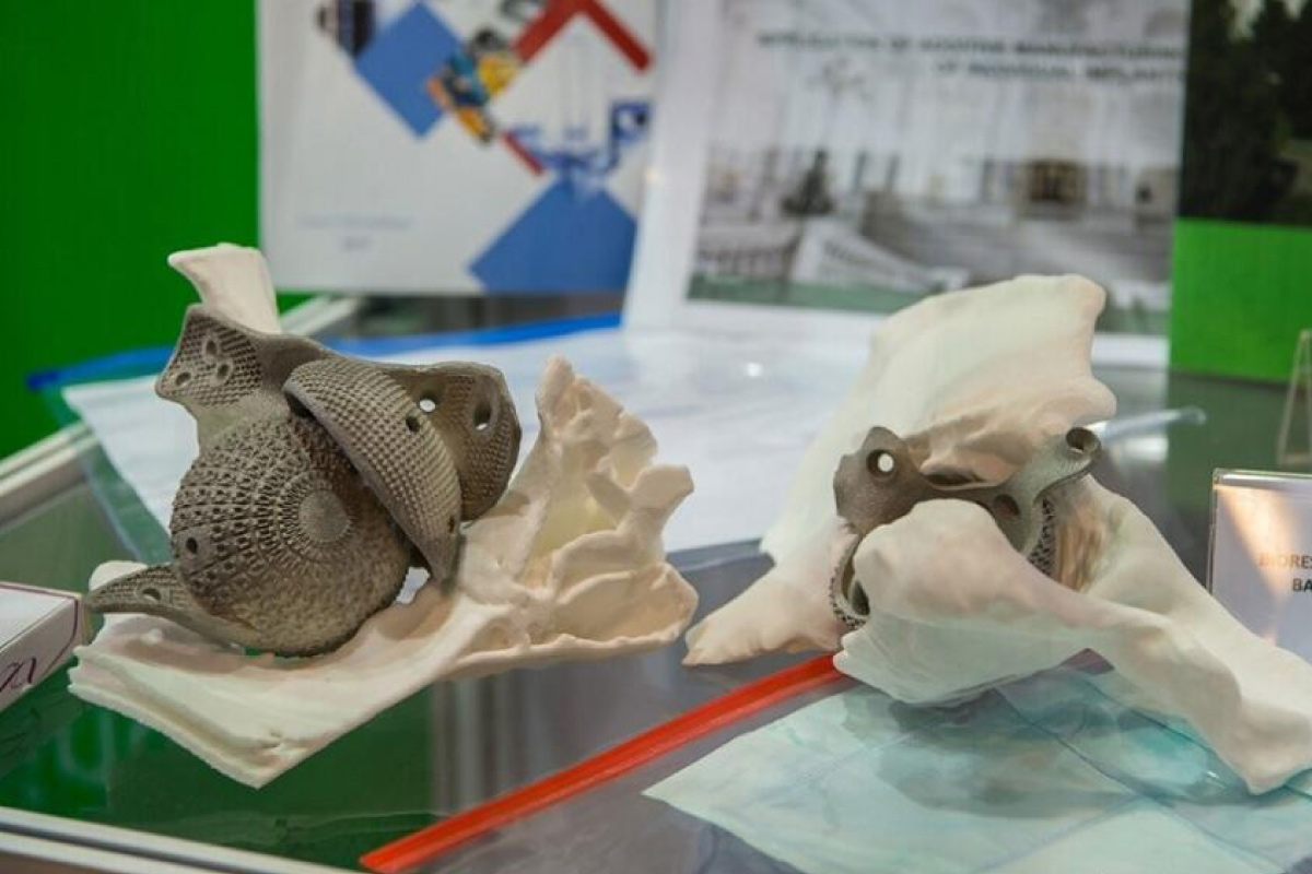 Ученые ИММиТ создали программу для 3D-печати эндопротезов из двух металлов